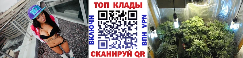 Сколько стоит Кашин Бошки Шишки  APVP  Амфетамин  Cocaine  Меф 