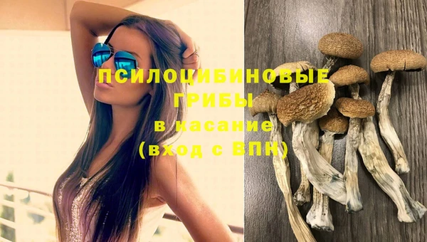 мескалин Каменка