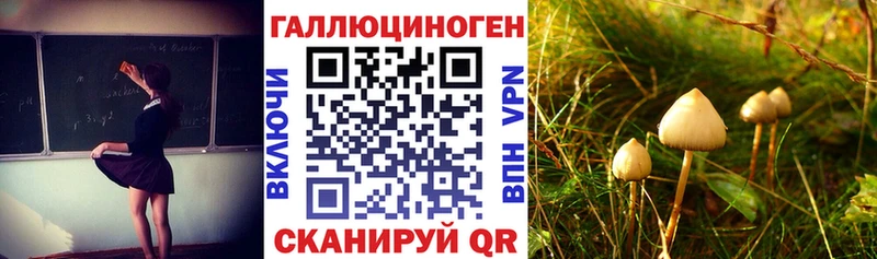Псилоцибиновые грибы мухоморы  магазин    Кашин 